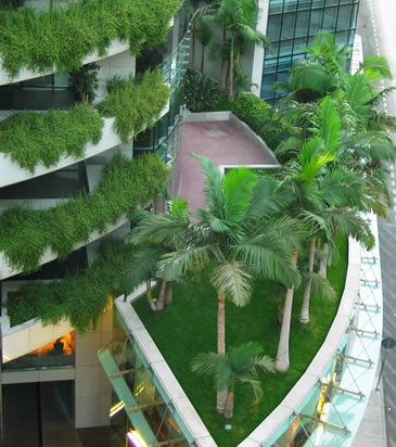 EXOTICA