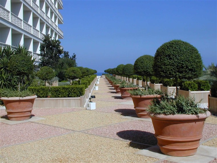EXOTICA (LANDSCAPING)
