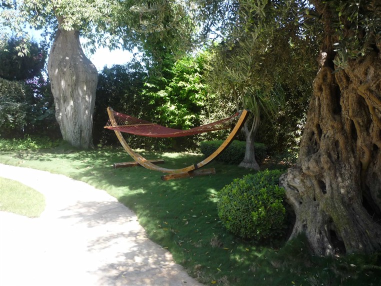 EXOTICA (LANDSCAPING)