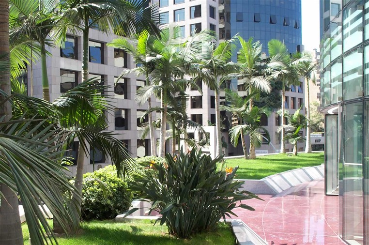 EXOTICA (LANDSCAPING)