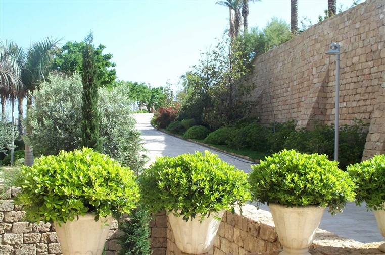 EXOTICA (LANDSCAPING)