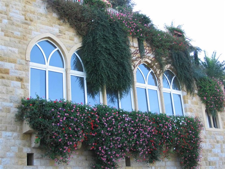 EXOTICA (LANDSCAPING)