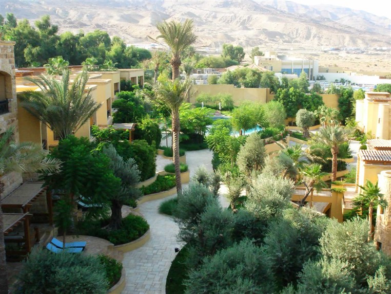 EXOTICA (LANDSCAPING)
