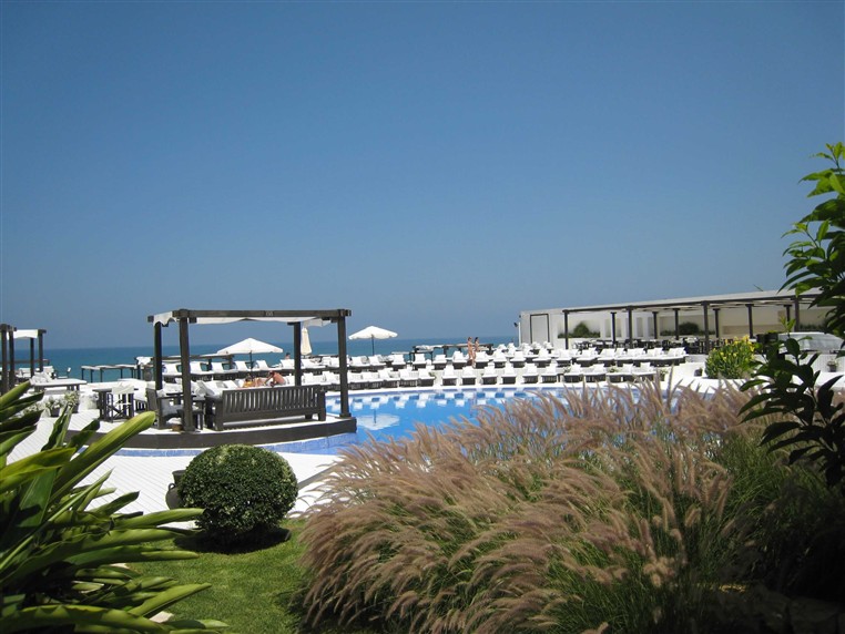 EXOTICA (LANDSCAPING)