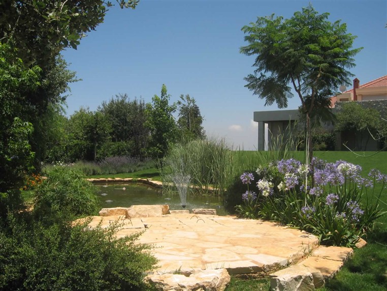 EXOTICA (LANDSCAPING)