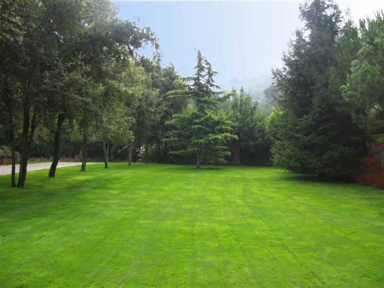 EXOTICA (LANDSCAPING)