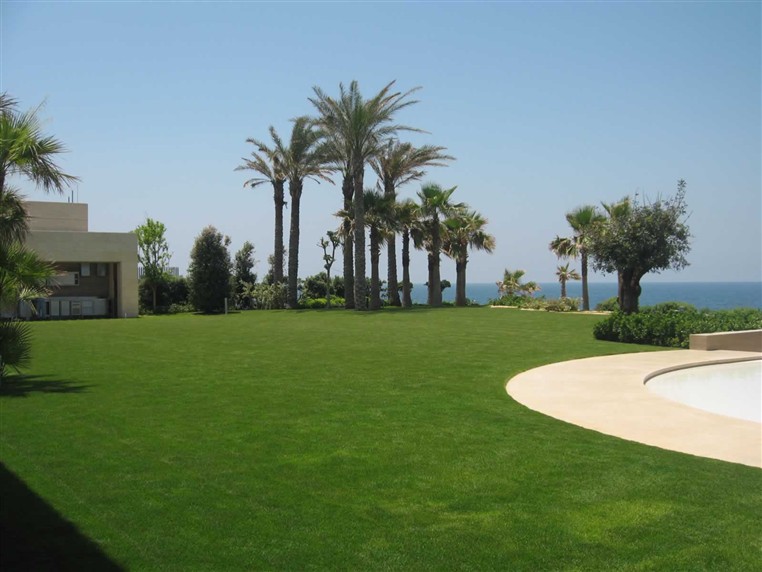 EXOTICA (LANDSCAPING)