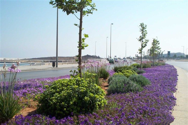 EXOTICA (LANDSCAPING)