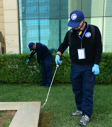 Global Care Operation (GCO) - Iraq