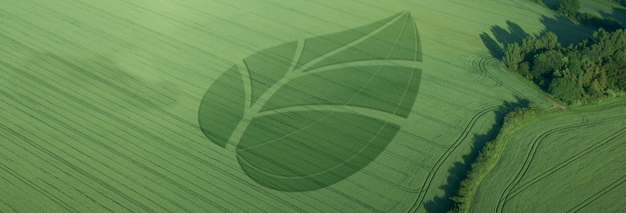 Agriculture Image